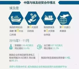 埃及进入国家紧急状态 商务部发布警示，外贸货代企业需加强风险防范