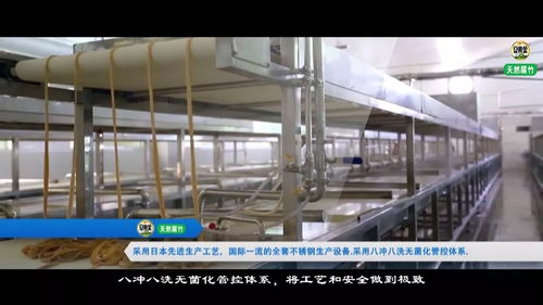 豆黄金食品 一家创造了六个国内第一的企业