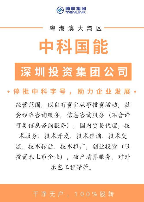 中科国能 深圳投资集团抢滩粤港澳大湾区，信息服务助力区域经济新飞跃